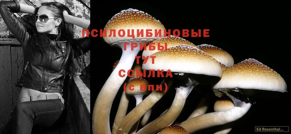 гашишное масло Козловка