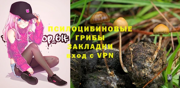 гидра Козельск