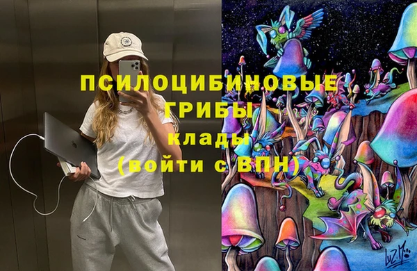 гидра Козельск