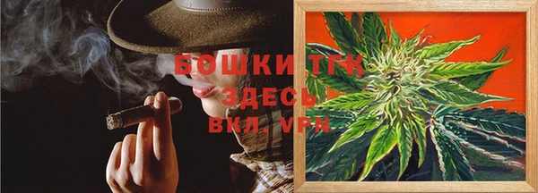 гидра Козельск