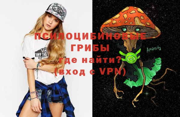 гидра Козельск